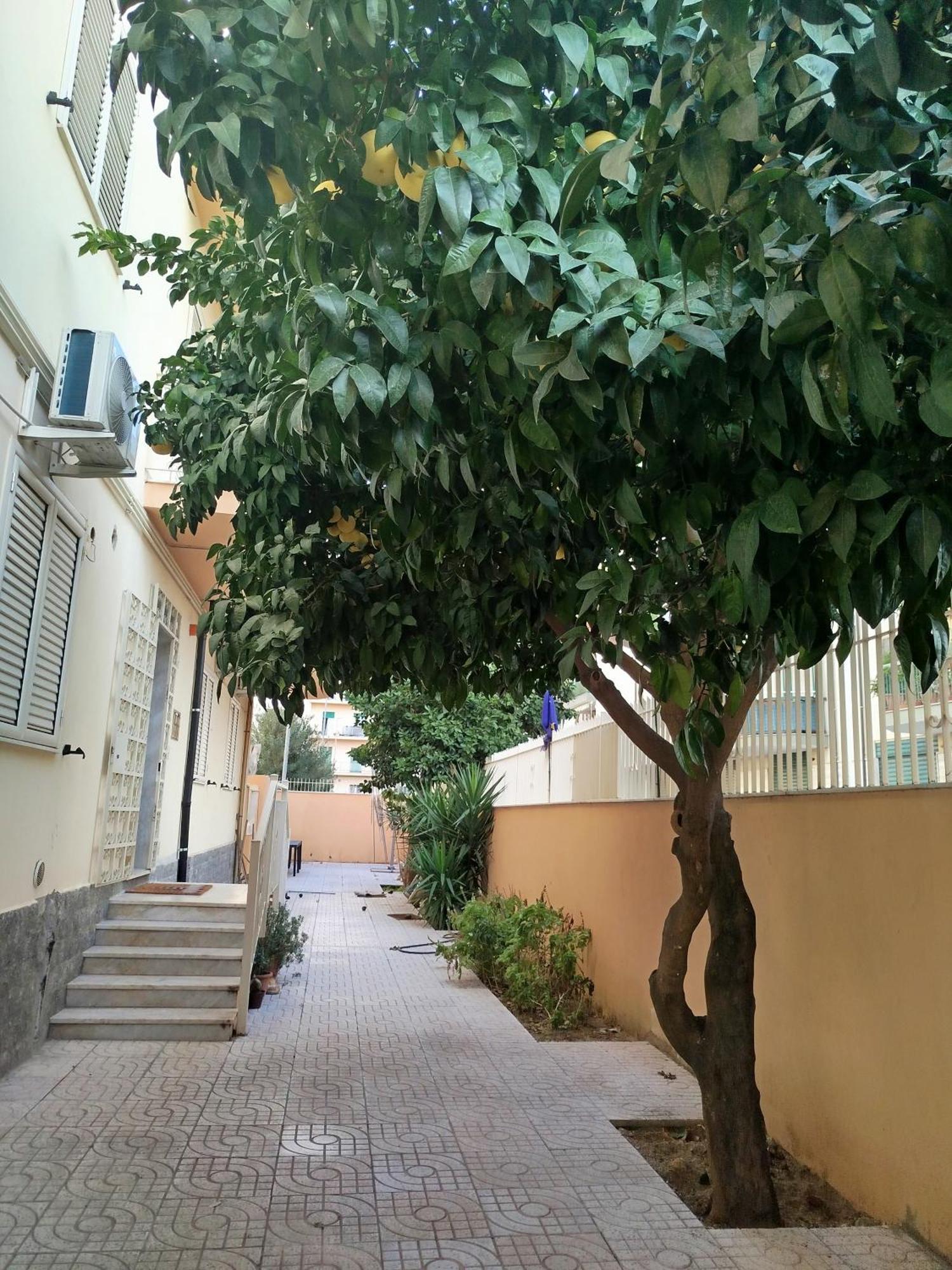 B&B Confort Reggio di Calabria Exteriör bild